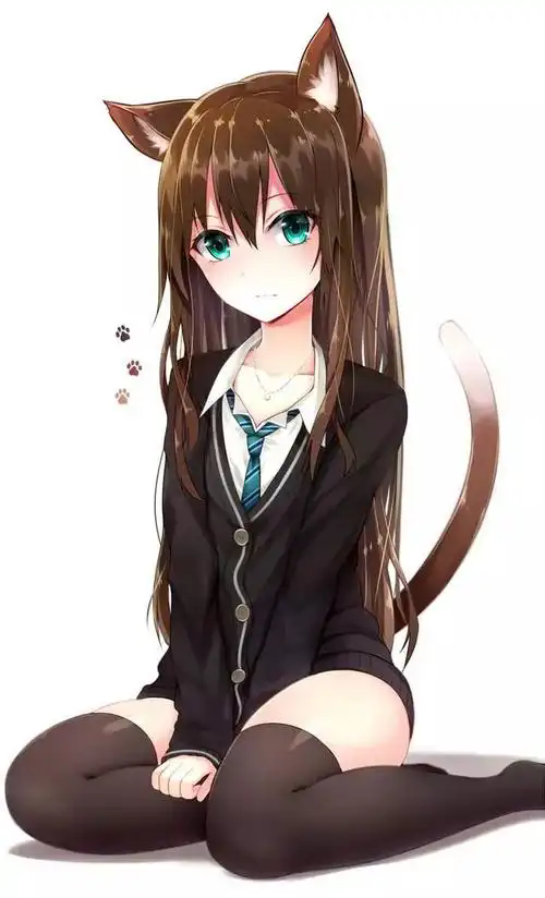 喵次元应用画面